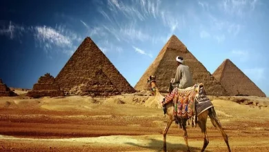 وزارة السياحة