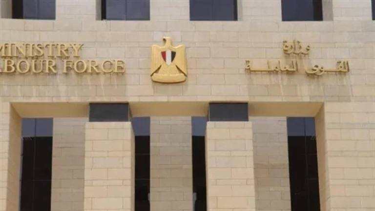 وزارة العمل تعلن عن ورش تدريبية مجانية لتأهيل الشباب لسوق العمل