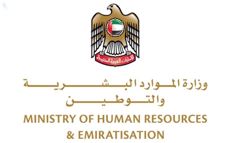 خطوات التقديم على طلبات الوظائف للذكور والإناث في الإمارات والشروط اللازمة.. “وزارة العمل” تكشف