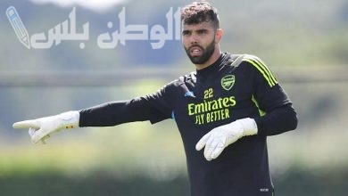 دافيد رايا