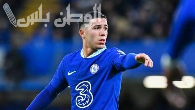 إنزو فيرنانديز
