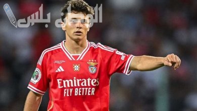 جواو نيفيز