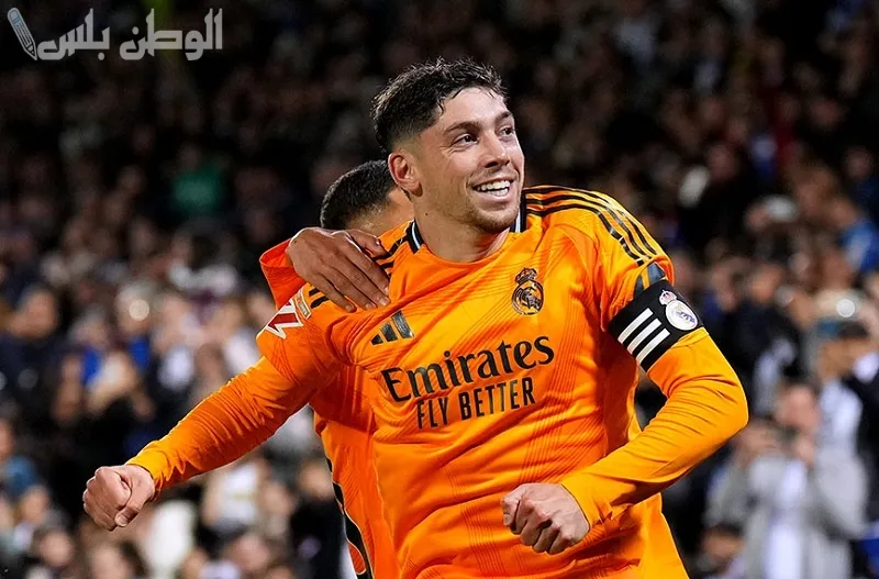 فيدي فالفيردي