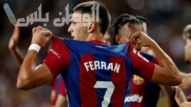 فيران توريس