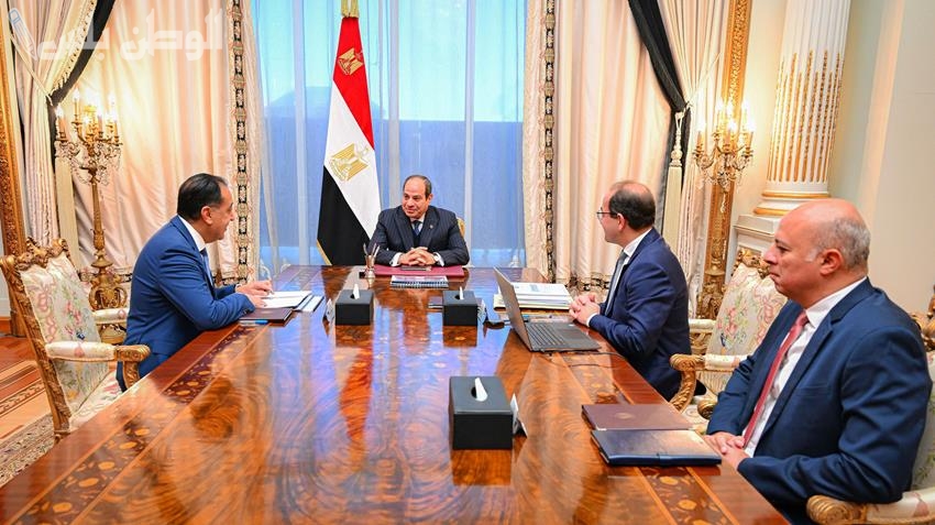 الرئيس السيسي يجتمع برئيس