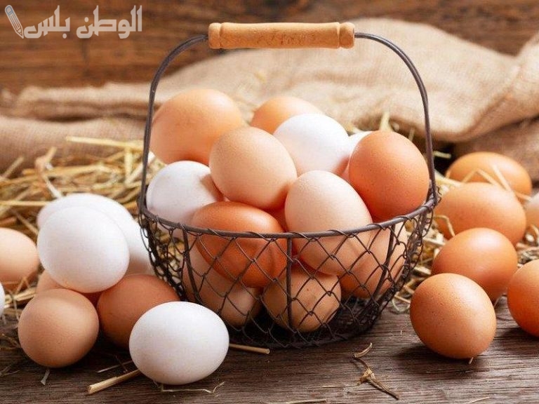 بورصة الدواجن اليوم.. أسعار البيض الأبيض والاحمر الأربعاء 5-3-2025