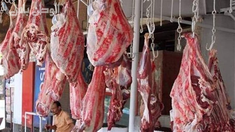 أسعار اللحوم المجمدة والبلدي