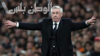 الأرجنتين أنشيلوتي