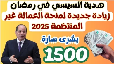 الاستعلام عن منحة العمالة غير المنتظمة