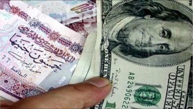 الدولار الأمريكي سجل كام أمام الجنيه المصري