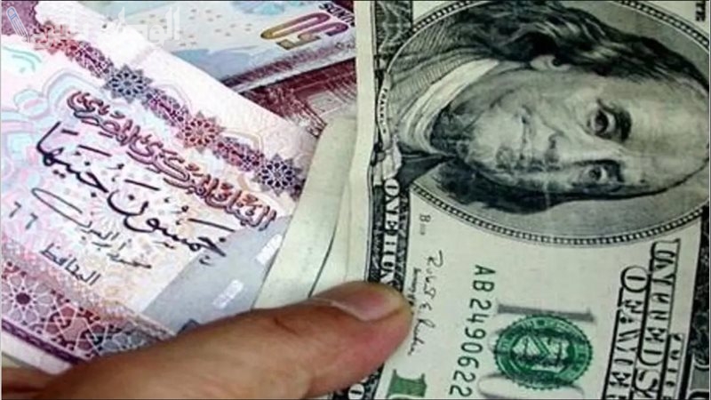 سعر الأخضر اليوم | الدولار الأمريكي سجل كام أمام الجنيه المصري اليوم 12-3-2025 في السوق الموازية