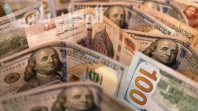 الدولار الأمريكي في مواجهة الجنيه المصري