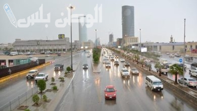 حالة الطقس المتوقعة