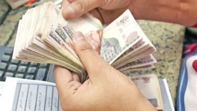 حقيقة زيادة المرتبات والمعاشات