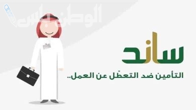 دعم ساند