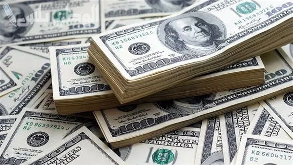 سعر الدولار امام الجنيه المصري اليوم