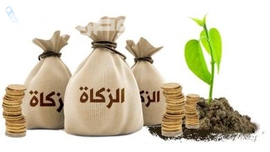 كم قيمة مقدار زكاة الفطر في السعودية