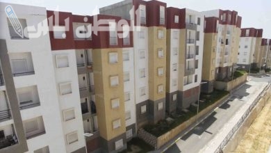 منصة رقمية جديدة لتحديث البيانات