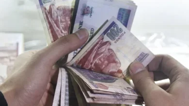 موعد زيادة المعاشات والمرتبات