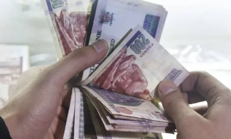 موعد زيادة المعاشات والمرتبات في مصر للاسر المحتاجة وأصحاب البطاقات التموينية.. “الحكومة المصرية” تكشف