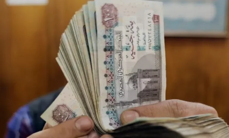 بشرى لأصحاب المعاشات.. موعد صرف معاشات أبريل 2025 وخطوات الاستعلام بالرقم القومي
