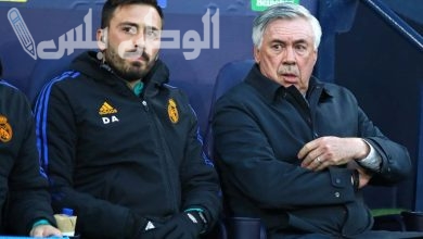 ديفيد أنشيلوتي