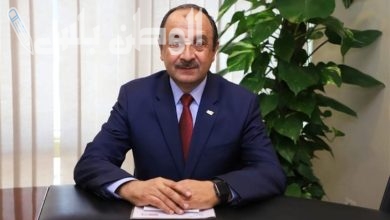 محمد شيمي،