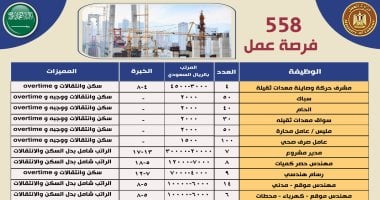 558 فرصة عمل فى