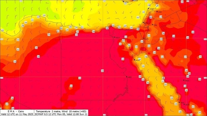 أجواء حارة اليوم.. تفاصيل