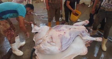 قبل عيد الأضحى.. اعرف