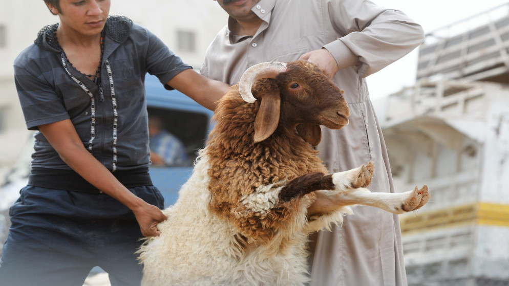 أمانة عمّان تحدد مواقع