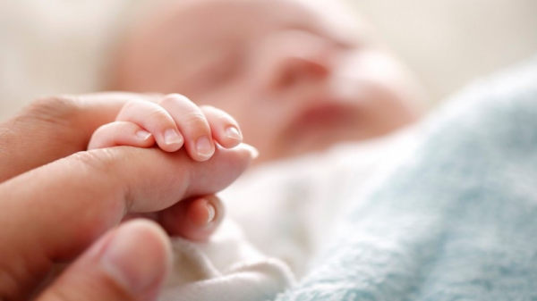 العمل: إجازة الأمومة للعاملات