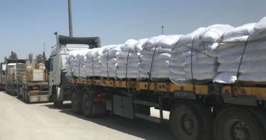 إعلام إسرائيلى: إدخال 30