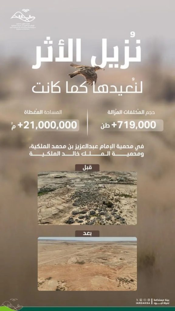 إزالة 719 ألف طن