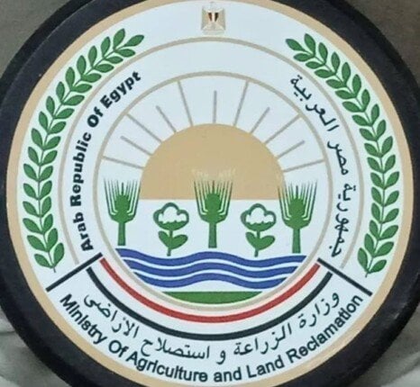 إطلاق خدمة جديدة للحصول