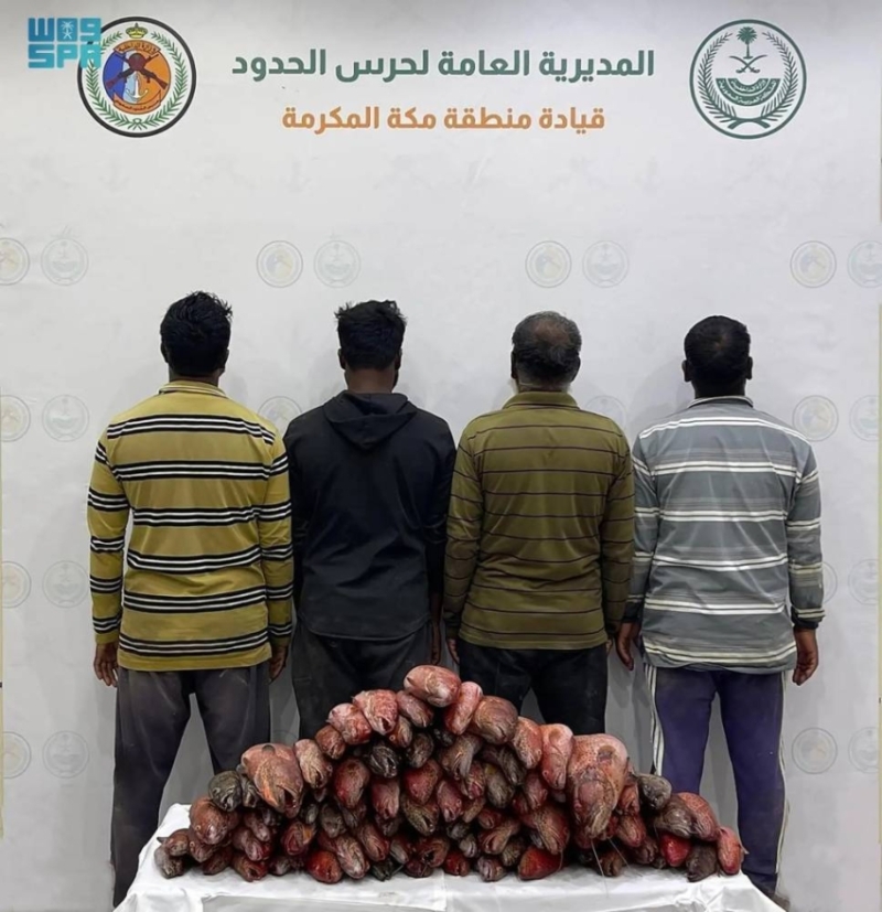 إلقاء القبض على 4
