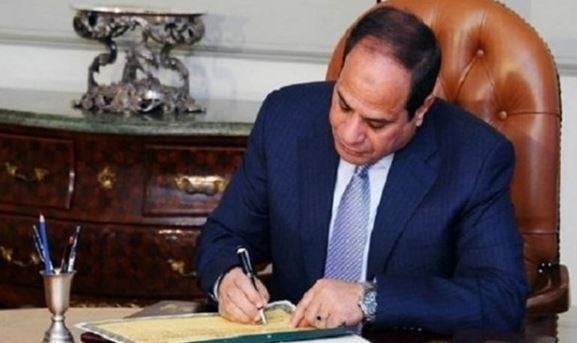 إنشاء جامعة «الوادي الجديد