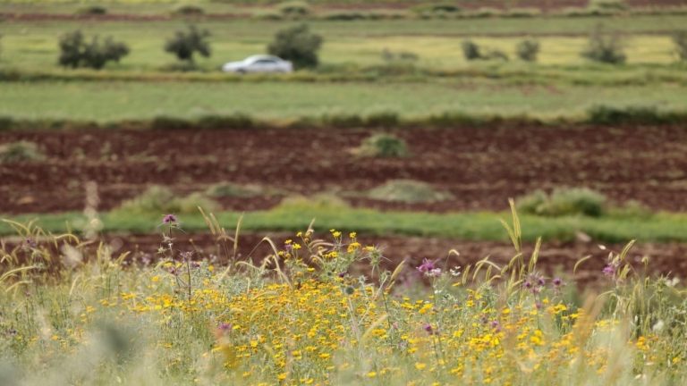 ارتفاع تدريجي في درجات الحرارة الخميس مع توقعات بأجواء حارة نهاية الأسبوع