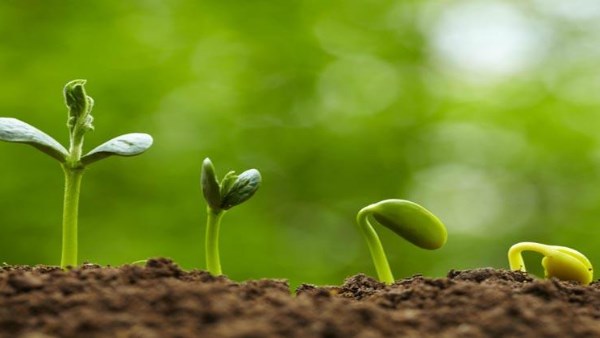 ارتفاع درجات الحرارة والجفاف