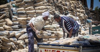 ارتفاع سعر الأسمنت 200