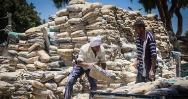 ارتفاع سعر الأسمنت اليوم الثلاثاء 27-5-2025: تعرف على سعر الطن الحالي