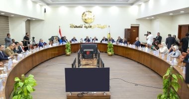 استراتيجية تطوير الشركات الحكومية