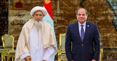 الرئيس السيسى يستقبل سلطان