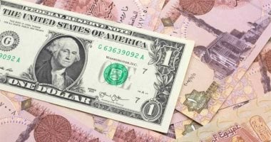 استقرار ملحوظ في سعر