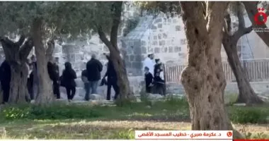 خطيب الأقصى للقاهرة الإخبارية": الاحتلال حول القدس لثكنة عسكرية ويحاصر الأبواب