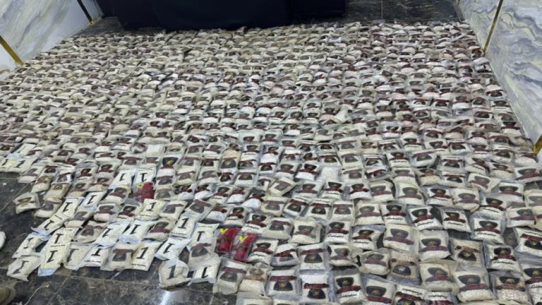 الجيش ينجح في إحباط تسلل وتهريب مخدرات من سوريا