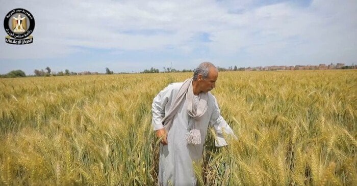 الحكومة تؤكد استمرار الجهود