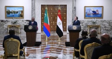 الرئيس السيسى: اتفقت مع