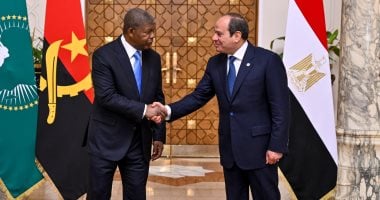 نشاط مكثف للرئيس السيسى