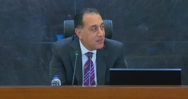 مدبولى: الرئيس أصرّ على